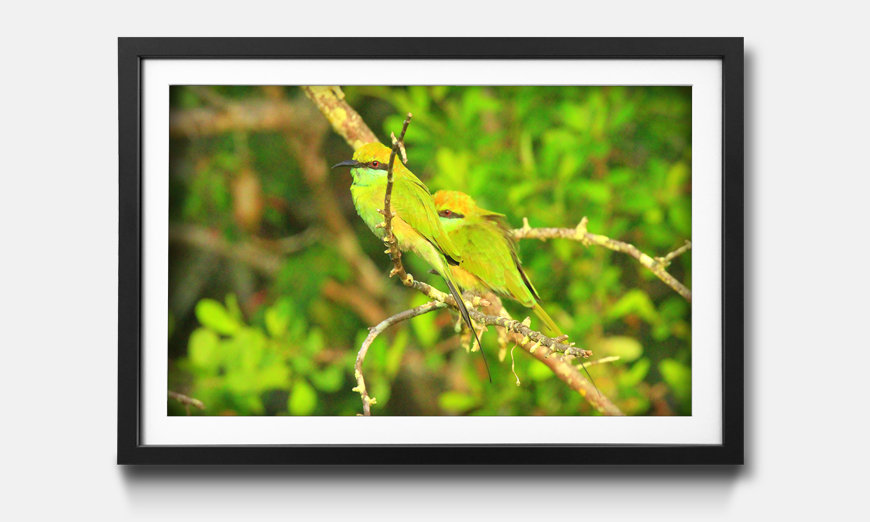 The framed art print Green Birds