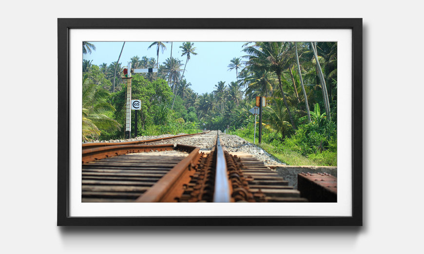The framed art print Sri Lanka Rails