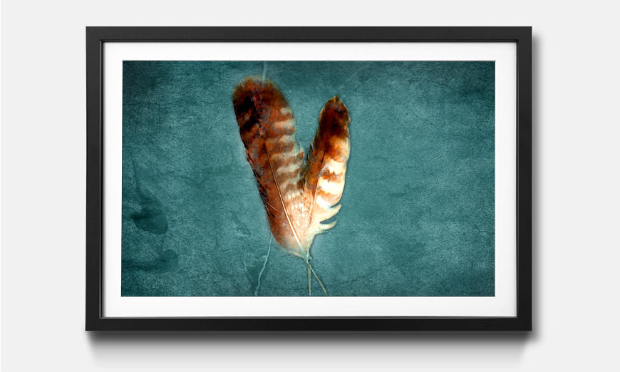 The framed art print Two Feathers