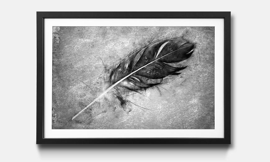 The framed picture Beautiful Feather