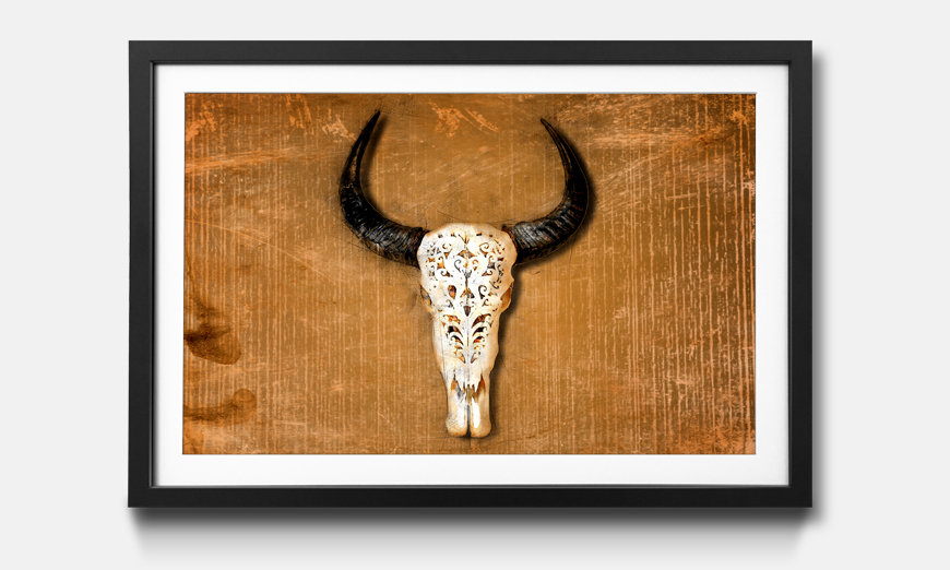 The framed picture Buffalo Head