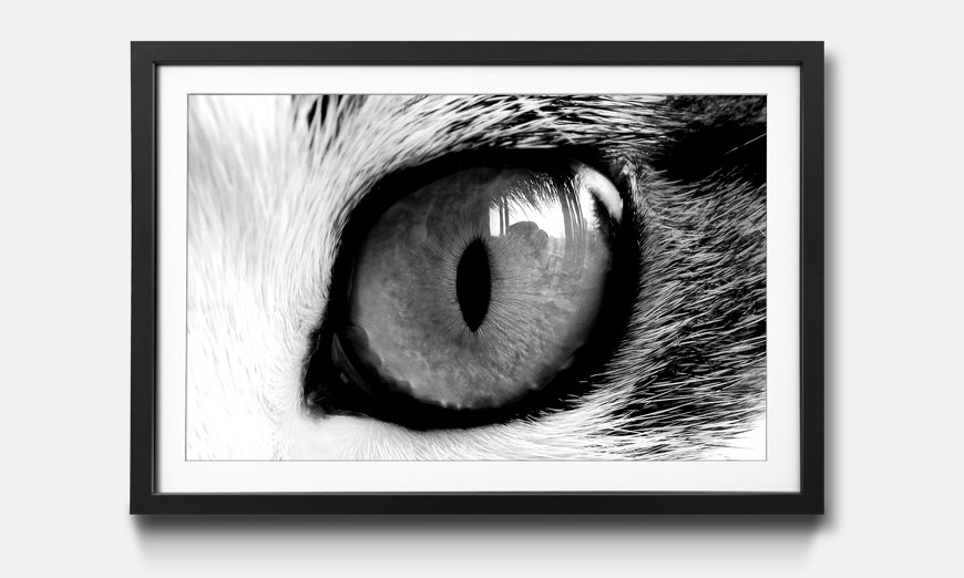 The framed picture Cats Eye Green