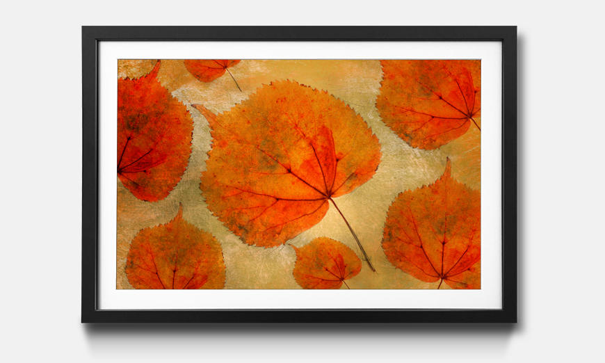 The framed picture Colorful Fall