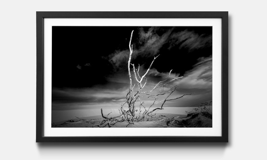 The framed picture Desert Landscape