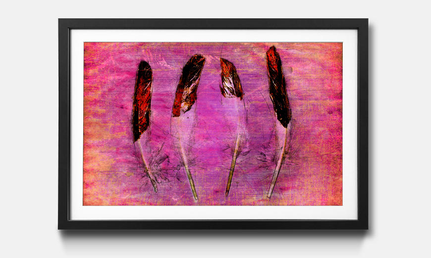 The framed picture Feathers and Pink