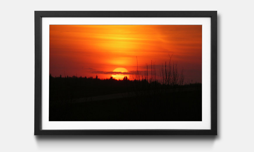 The framed picture Sunset Sky