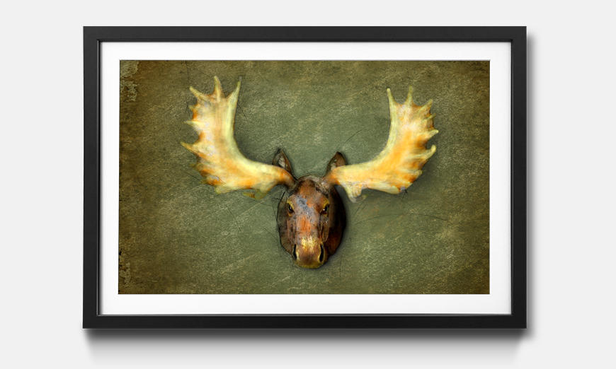 The framed picture The Elk