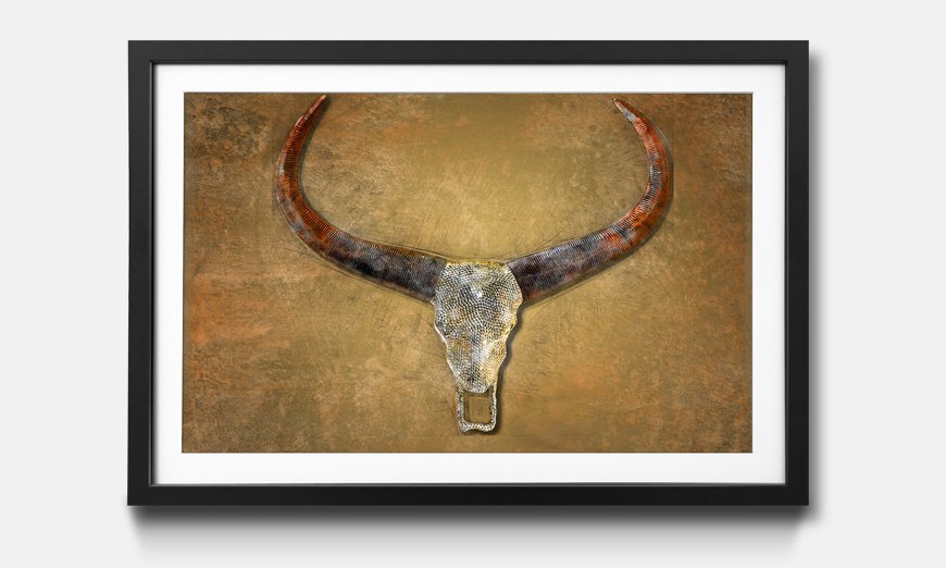 The framed print Bull Skull