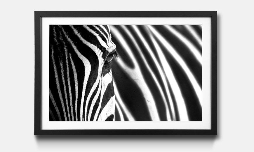 The framed wall art Animal Stripes