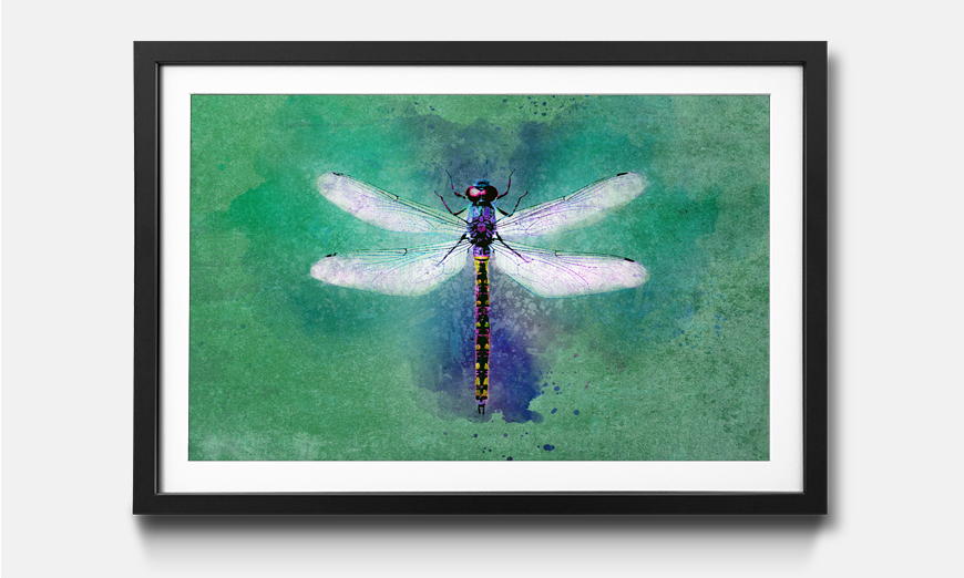 The framed wall art Dragon Fly