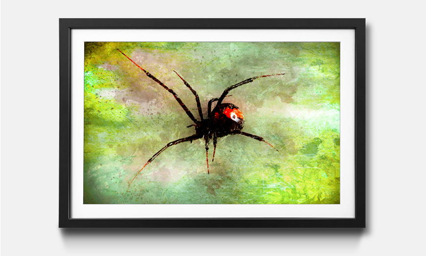 The framed wall art Perfect Creature