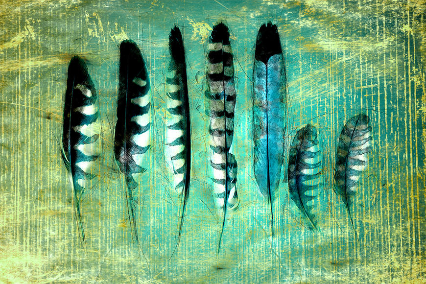 Photo wallpaper Blue Feathers