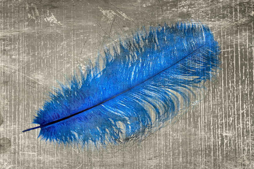 Photo wallpaper Feather In Blue