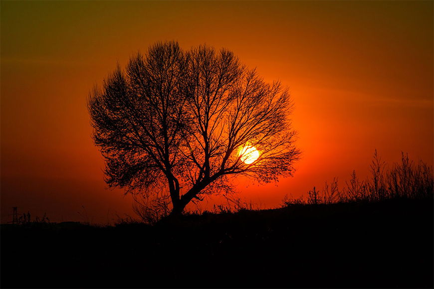 Photo wallpaper Rural sunset from 120x80cm