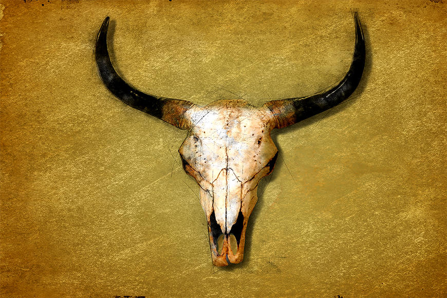 Photo wallpaper The Bull