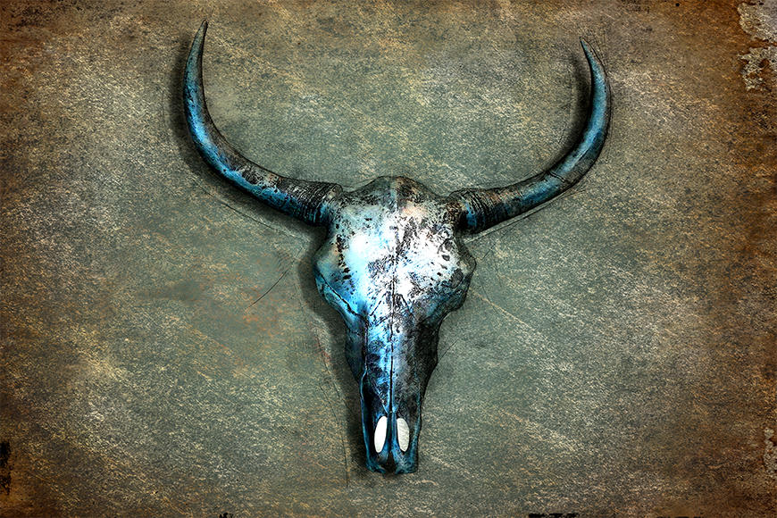 Wallpaper Buffalo Skull