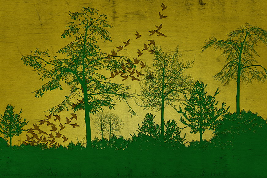 Wallpaper Cool woods from 120x80cm