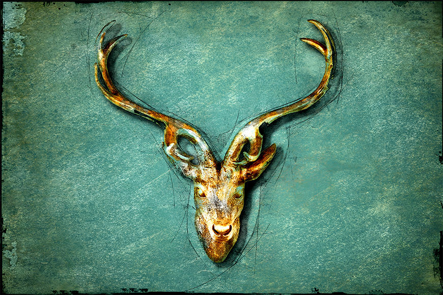 Wallpaper The Deer