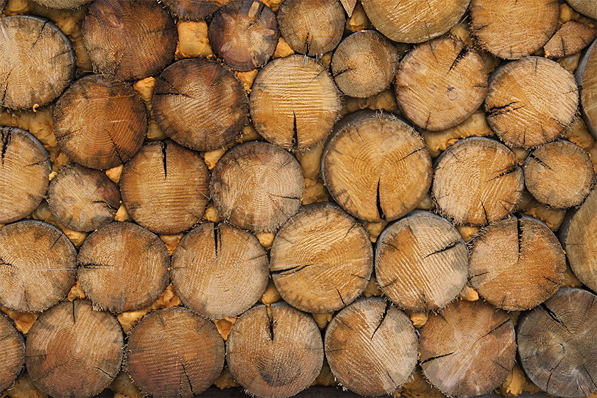 Wallpaper Woodpile from 120x80cm