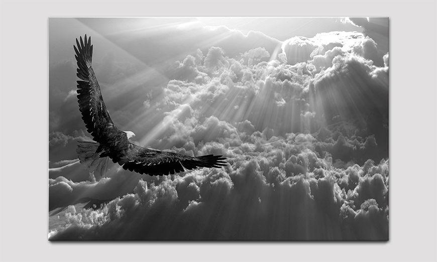 The acrylic glass picture Eagle In Flight